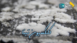 معرفی کلکسیون تینا محصولی از فرش فرهی