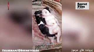 ویدیوی واقعی تولد نوزاد ترسناک نیمه انسان توسط بُز در فیلیپین (شکار دوربین _ قسمت ۵۵)