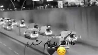 در حدم نیستین