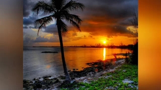 آخرین آواز....