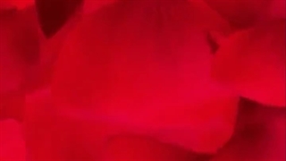 لحظه ای در آرامش