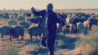 رقص شاد در صحرا