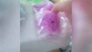 ولاگ یه روز یکتا جون