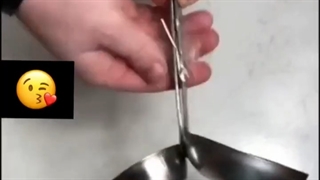 ایده های احمقانه