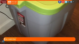 چگونگی اضافه کردن ماهی های جدید به آکواریوم