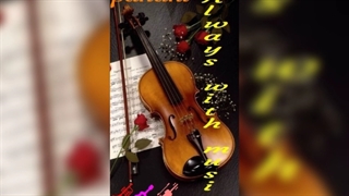 دمو از پلی بک مسافر شادمهر عقیلی