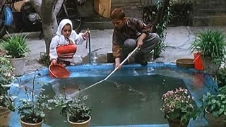 رخشاره زیبای بادکنک سپید - ساخته شده در سال 1373 خورشیدی