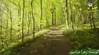 غزلخوان، گوینده زارا مرادپور، کاری ازرادیوتلویزیون رویش، تهیه کننده امجدزمانی، تدوین الهام لطیفی جراحی فک