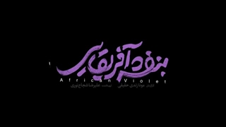 تیزر فیلم بنفشه آفریقایی