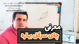 معرفی چای سرگل بهاره