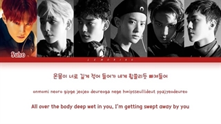 EXO Trouble Lyrics [Color Coded Lyrics/Han/Rom/Eng]