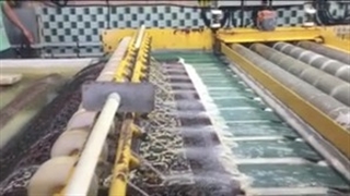 شماره قالیشویی در تهران