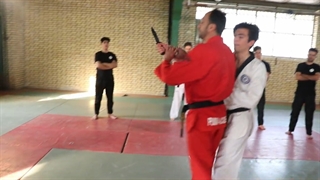 آموزش حفاظت و دفاع شخصی ( موسسه و آکادمی سیف نصر)