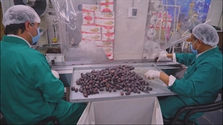 آماده سازی برخی اقلام افطاری ساده در حرم مطهر رضوی