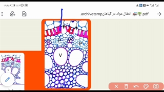 زیست گیاهی دهم