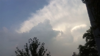 فیلمبردار-حسام الدین شفیعیان