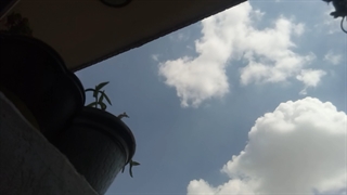 فیلمبردار-حسام الدین شفیعیان