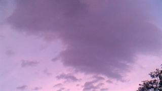 فیلمبردار-حسام الدین شفیعیان