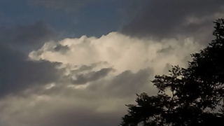 فیلمبردار-حسام الدین شفیعیان