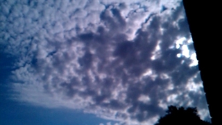 فیلمبردار-حسام الدین شفیعیان