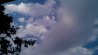 فیلمبردار-حسام الدین شفیعیان