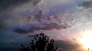 فیلمبردار-حسام الدین شفیعیان