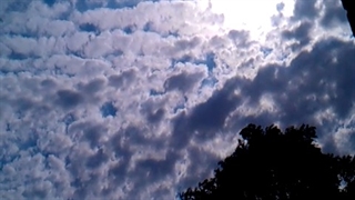 فیلمبردار-حسام الدین شفیعیان