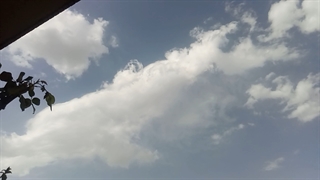 فیلمبردار-حسام الدین شفیعیان