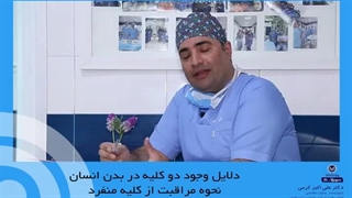 دلایل وجود دو کلیه در بدن انسان - نحوه مراقبت از کلیه منفرد