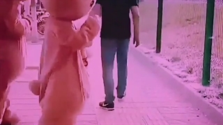 کلیپ گوگولی عشقولی