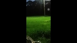 ❌موجوداتی که بین ما زندگی‌ می‌کنن❌UNSOLVED EP 7