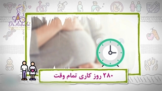 دو هفته اول بارداری