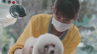 قسمت 3 ازسریال ژاپنی گربه 2020 Cat - Neko