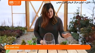 آموزش آنلاین ساخت تراریوم فانتزی