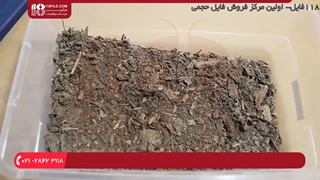 آموزش ساخت تراریوم - ساخت تراریوم کوچک بومی