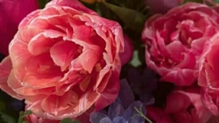 آپدیت استوری جدید رزی