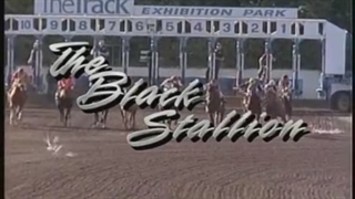 Adventures of the Black Stallion S1E1 - part 1