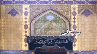 نماهنگ احساسی هوای کوی تو با صدای حامد علیزاده