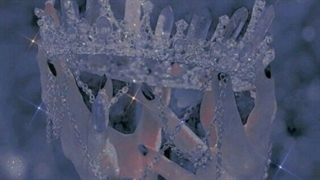 پر سرچ ترین اعضای بلک پینک تو 24 ساعت + کپ