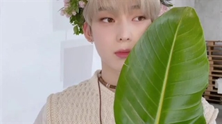 آپدیت توییتر سونو-480p