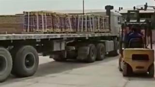 ایزوگام حلزون با کیفیت درجه یک