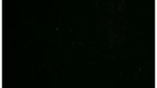 خرید فالوور اینستاگرام