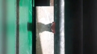 حرکات تکنیکی فوتبالدستی ( ماشالله )