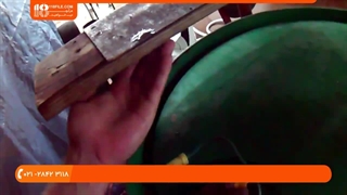 آموزش تولید قارچ - برداشت و انبار قارچ