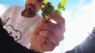 ترفندهای عکس گیری