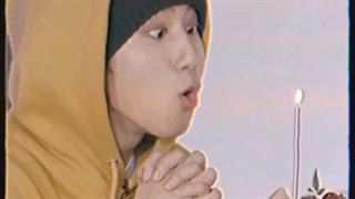 فنمید از هان (stray kids)