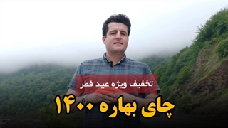 خرید چای بهاره ۱۴۰۰ - ارسال رایگان به سراسر کشور