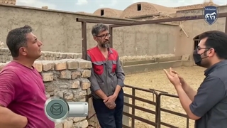 وزن گیری مناسب دام (قسمت اول)