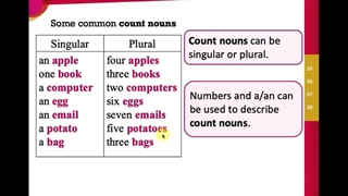 آموزش زبان انگلیسی: گرامر مقدماتی Count & Noncount Nouns
