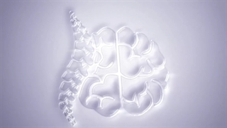 فیلم واقعی عمل سرخوردگی ستون فقرات